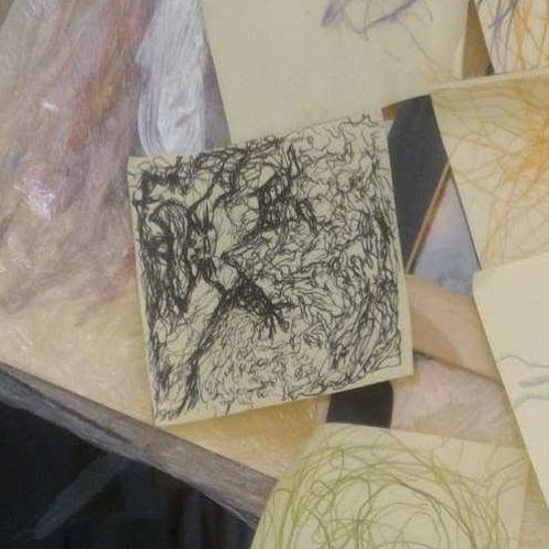 Ligeirinho mais rápido do mundo / sfragmentos do vale