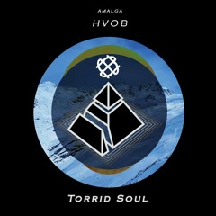 HVOB - Torrid Soul (amalga remix)