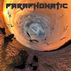 DJ Devinci - Paraphonatic