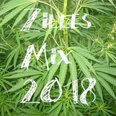 Ceciliebypl1 Mix 2018 | Hands Up Music Remix 2018 | Best Old School Techno Hands Up Mix