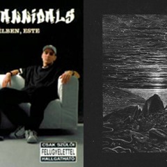 Animal Cannibals vs Mr. Bill - Minden Metro (Roothouse Mashup) [2016]