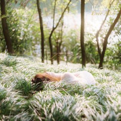 Wallflower - I Wish Spring Would Last Forever