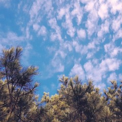 Figure Flows - Letter To My Daughter (JH1)