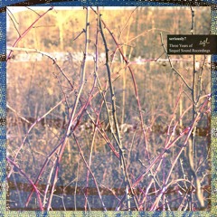 Zipline (Forthcoming Sequel Sound)