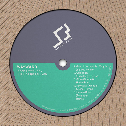 Premiere: Wayward 'Shiva' (Brame & Hamo Remix)