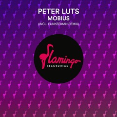 Peter Luts - Mobius (OUT NOW)