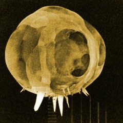 the Tumbler-Snapper test series in Nevada, 1952.