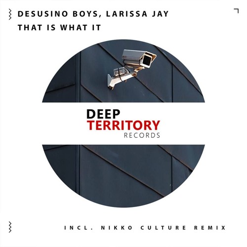 Desusino Boys, Larissa Jay - That Is What It (Nikko Culture Remix)