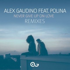 Never Give Up On Love (flatdisk rmx)