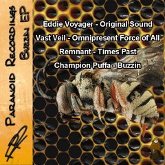 Remnant - Times Past