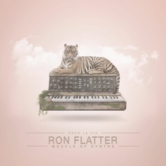 Ron Flatter - White - PLV032