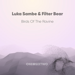 Premiere: Luka Sambe &  Filter Bear - Birds Of The Ravine (Luka Sambe Remix) [onedotsixtwo]