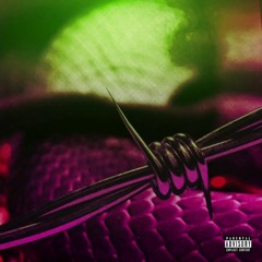 Skinnie Trill - Rockstar ft. Goa (Spanish Remix)