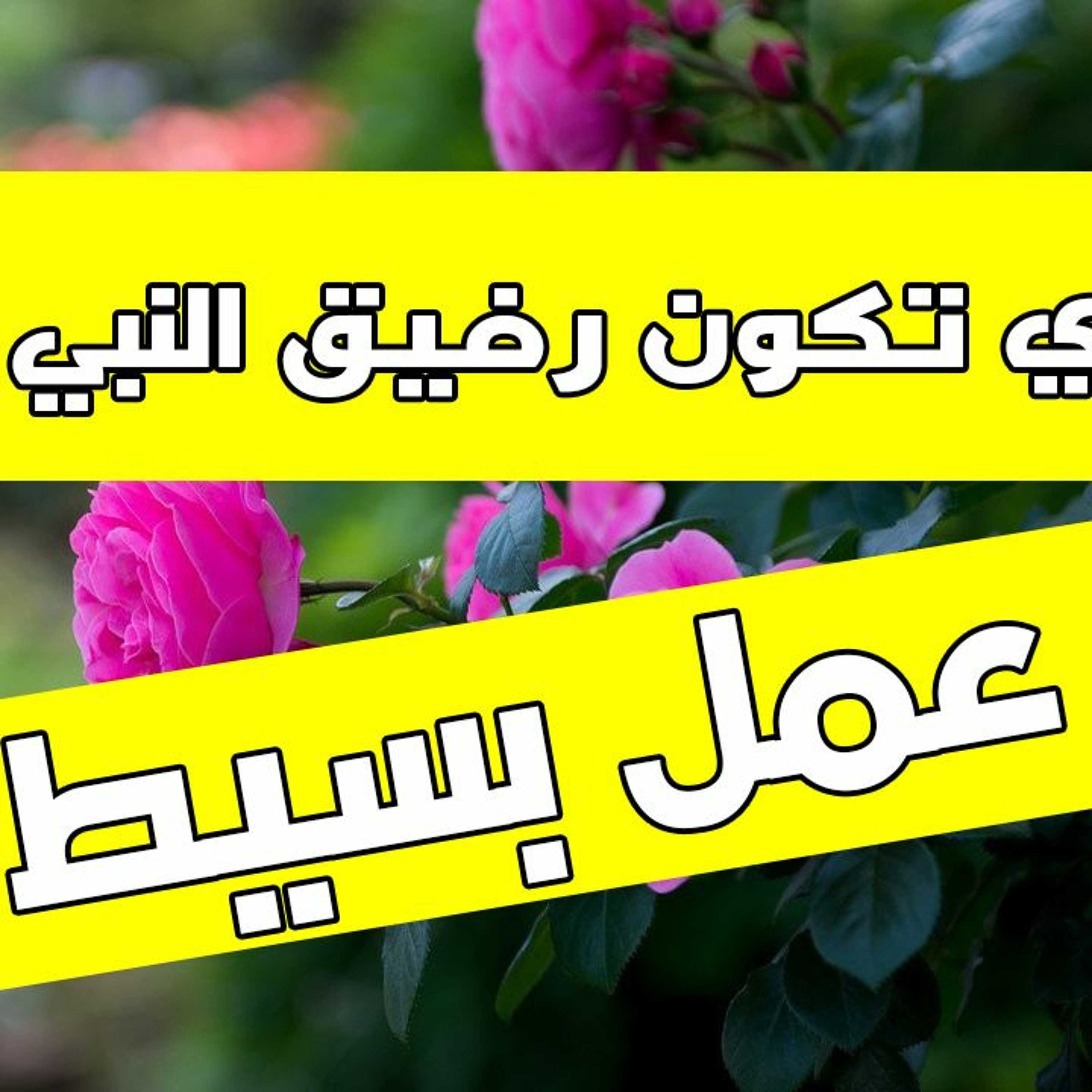عمل بسيط يخليك رفيق النبي في الجنة - بإذن الله episode artwork