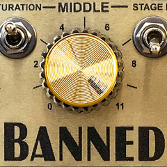 Banned by Jarmut (MTS module by Salvation Audio)