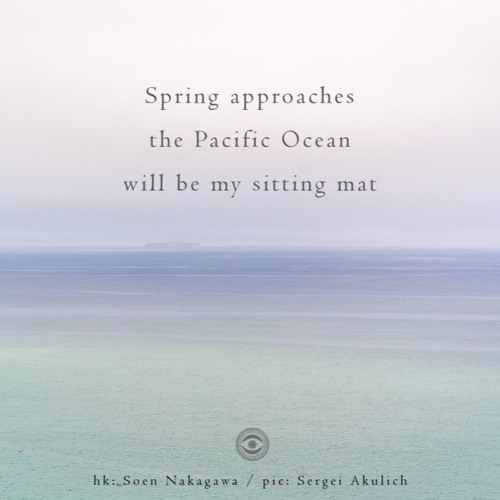 Haiku #221: Spring approaches / the Pacific Ocean / will be my sitting mat