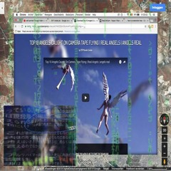 ®ari Induced 精神抑郁症 - 'Steel Furniture' (HOB1)