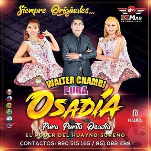Listen to Walter Chambi Pura Osadia (No Nos Comprendemos) Audio En Vivo  Primicias Sur 2018 by PRIMICIAS SUR in Yolita playlist online for free on  SoundCloud