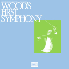 Wood's First Symphony (prod. Collegeville Woods)