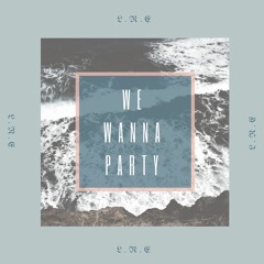 We Wanna Party