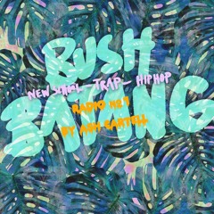 Bush Batang Radio #1