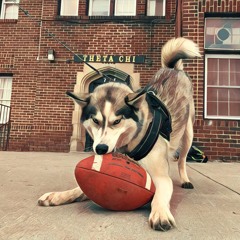 Club Action Theta Chi