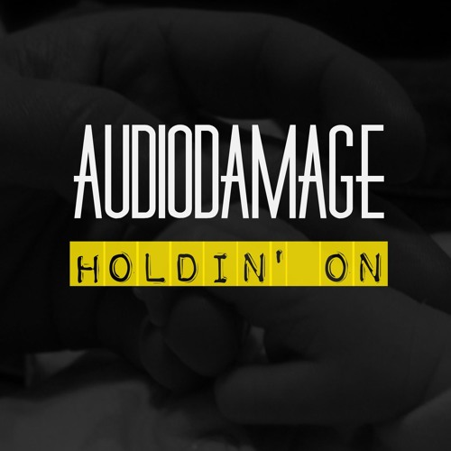 AudioDamage - Holdin On