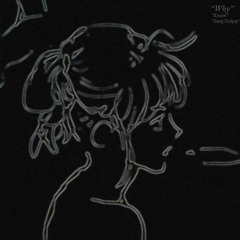 "Why?" ft. {Young Pushpop}