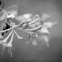 IWontKillMyselfToday