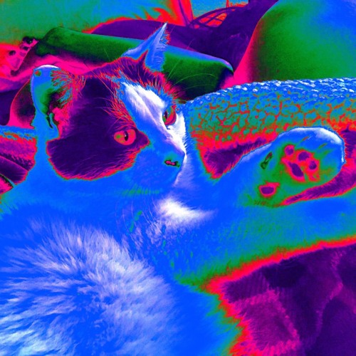 w a v e s