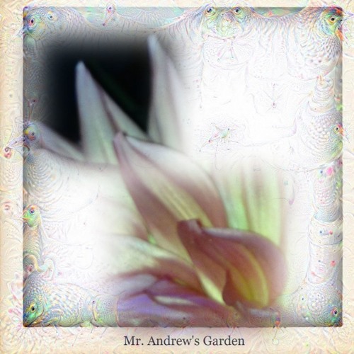 Stream Newborn by Mr. Andrew's Garden Listen online for free on