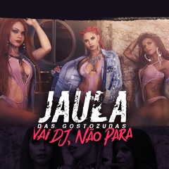 VAI DJ NAO PARA - JAULA DAS GOSTOSUDAS- DJ ALEX MPC