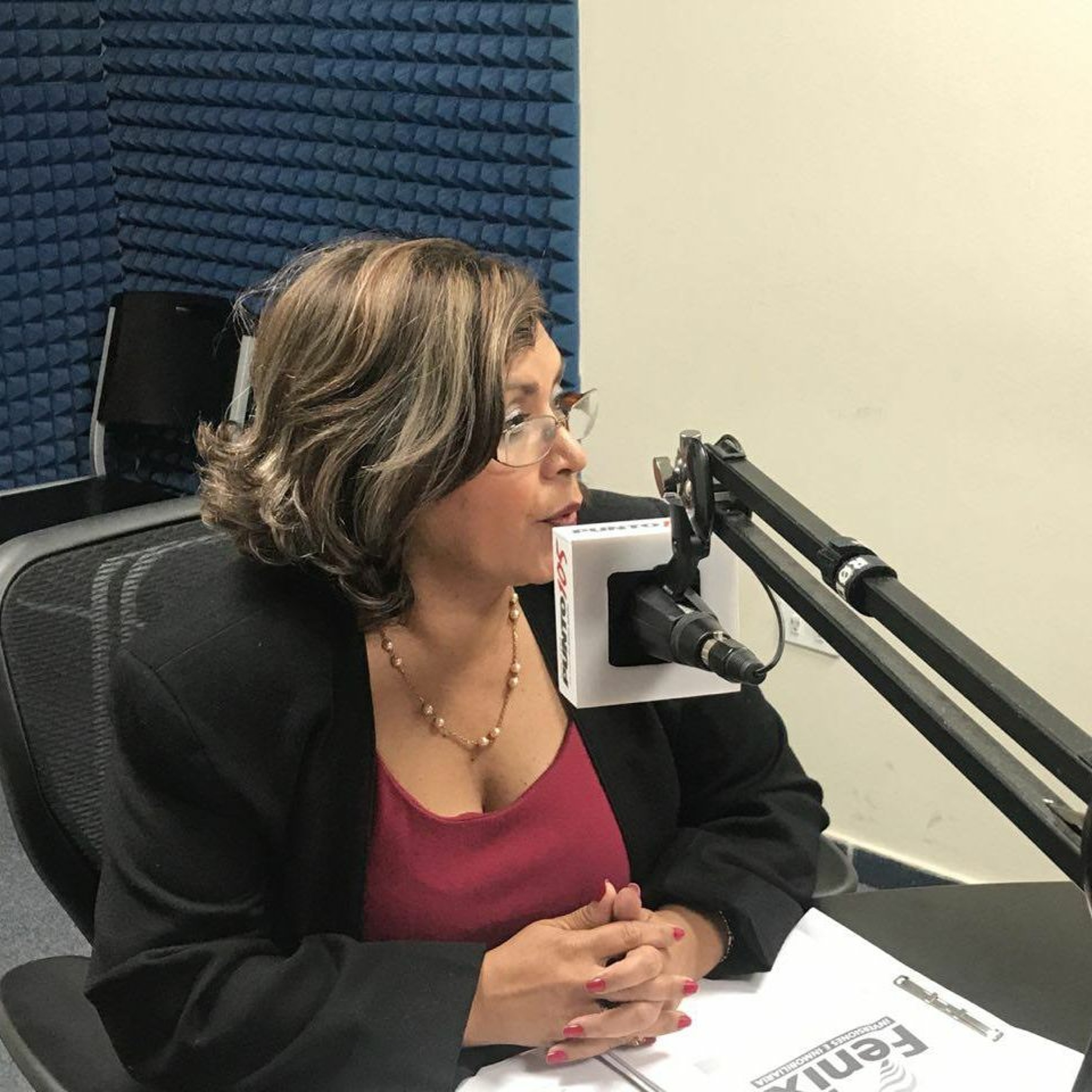 Abogada de Inversiones Fénix: “No sabíamos que hacía falta el permiso de Secultura” episode artwork