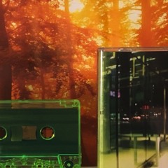 'Last Word' [DNP01] - out now on limited cassette and digital