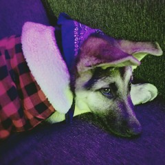 Memories (Rough Edit)