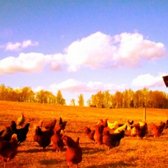 john fuckin deere freestyle ft. big frank