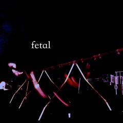 fetal