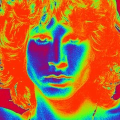 The Doors - My Wild Love (Z-Trip Remix)