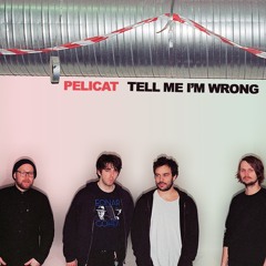 Pelicat - Tell Me I'm Wrong