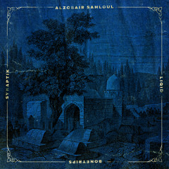 Alzobair Sahloul feat. Liqid & Synaptik - Amyal (prod Bonetrips)