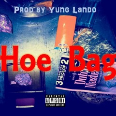 Hoe Bagg (Prod By Yung Lando)