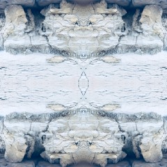 Sternum Drone