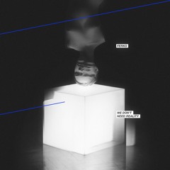 We Don't Need Reality
