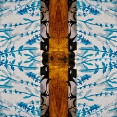 The Alligator