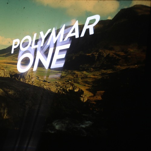 Polymarb