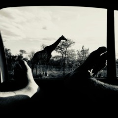 The Elephant & The Giraffe 2018