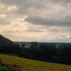 Temps Electrique - Columbine cover