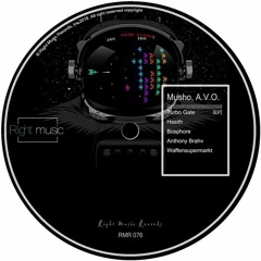 Musho & A.V.O. - Turbo Gate (Waffensupermarkt Remix)