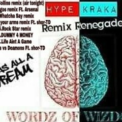 WORDZ OF WIZDOM -remix renegade-mixtape
