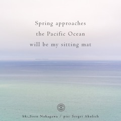 Spring Approaches (Naviarhaiku221)